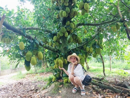 Nhiều du khách đến một lần những nhớ cả một đời